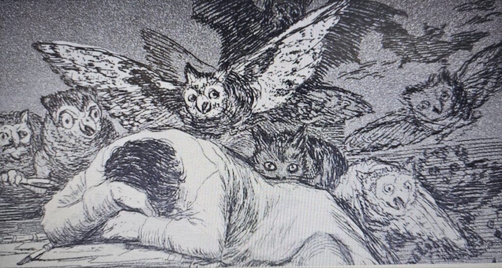 Il sogno della ragione genera mostri
