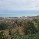 Pesaro orizzontale